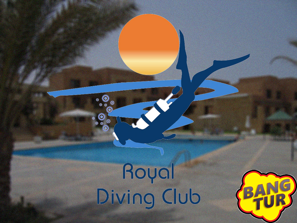 Королевский дайвинг-клуб Иордании (Royal Diving Club) Международный день очистки берегов