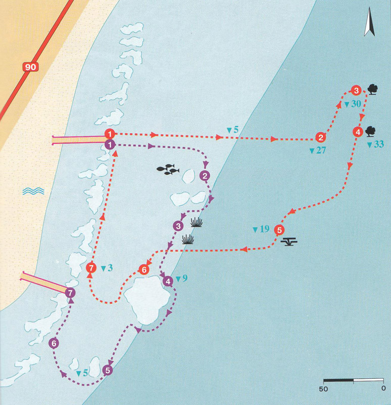 Схема погружения Коралловый заповедник (Nature Reserve) в Эйлате
