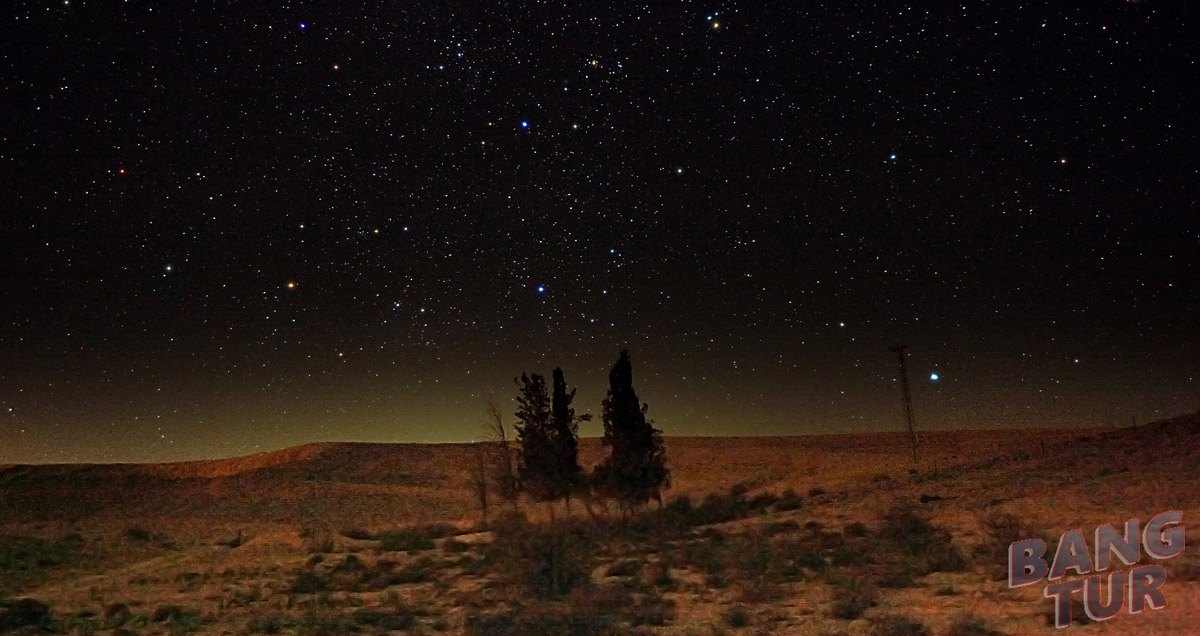 Экскурсионный тур Ночное небо пустыни Негев
